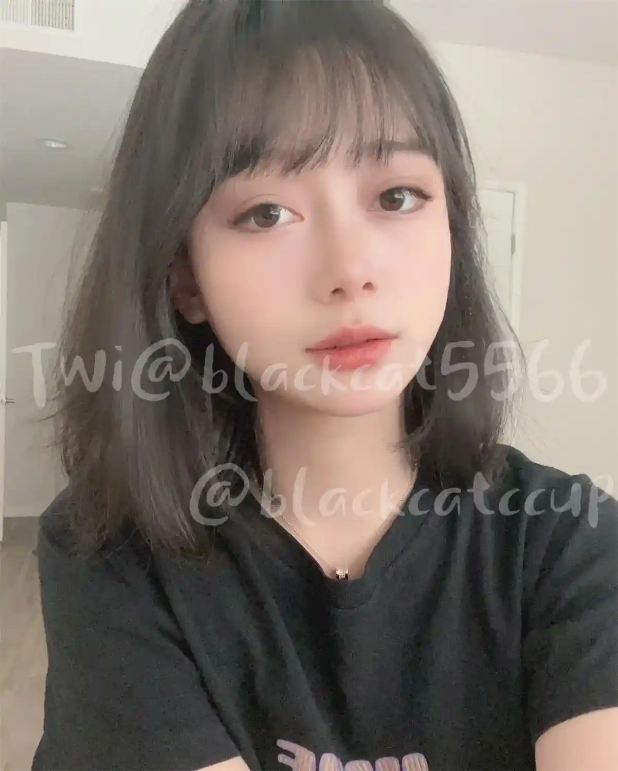 blackcatccup-图片&视频资源下载[9.98GB]-漫客吧